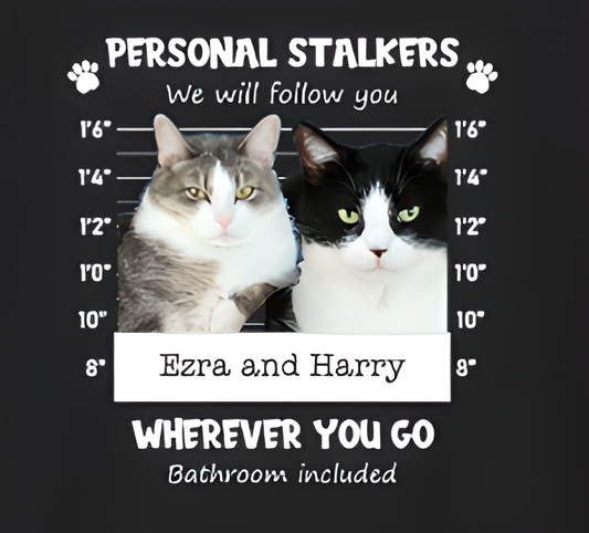 Animated video of two cats, Ezra and Harry, hosting a podcast to discuss their bathroom stalking 'crimes' which landed them on a custom pet mugshot t-shirt.