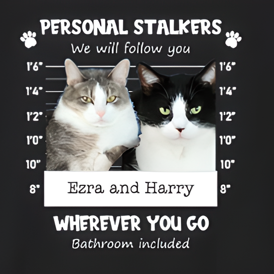 Animated video of two cats, Ezra and Harry, hosting a podcast to discuss their bathroom stalking 'crimes' which landed them on a custom pet mugshot t-shirt.